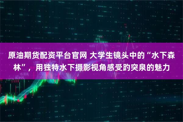 原油期货配资平台官网 大学生镜头中的“水下森林”，用独特水下摄影视角感受趵突泉的魅力
