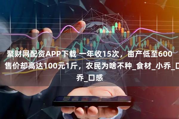 聚财网配资APP下载 一年收15次，亩产低至600斤，售价却高达100元1斤，农民为啥不种_食材_小乔_口感