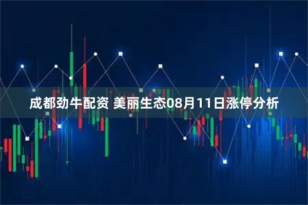 成都劲牛配资 美丽生态08月11日涨停分析