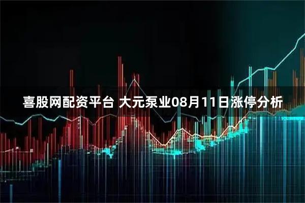 喜股网配资平台 大元泵业08月11日涨停分析